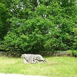 Βίλα Chateau A 5 5 Salles De Bains 4 Etoiles Gourdon-en-quercy